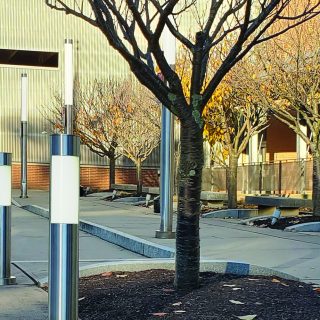 Bollard Stainless Kent Superior Court
